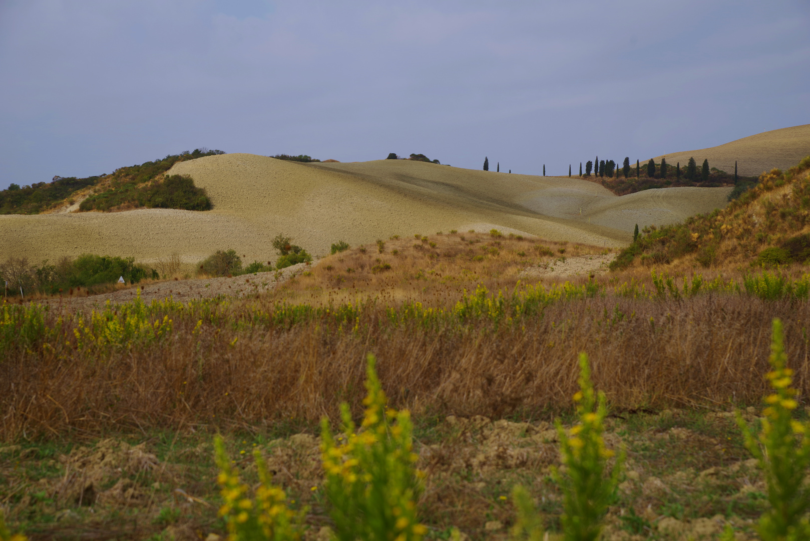 Val D'Orcia 