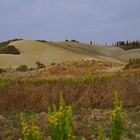 Val D'Orcia 