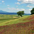 Val d'Orcia