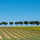 Val d'Orcia