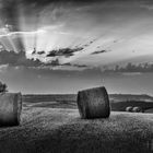 Val d'Orcia III