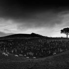 Val d'Orcia III, Toskana, Italien, 2010