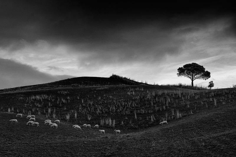 Val d'Orcia III, Toskana, Italien, 2010