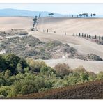 Val d´Orcia im Herbst