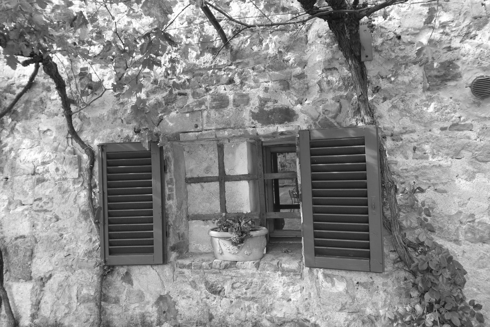 Val d'orcia in bianco e nero