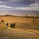 Val d'Orcia IV