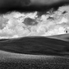 Val d'Orcia IV, Toskana, Italien, 2010