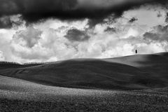 Val d'Orcia IV, Toskana, Italien, 2010