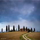 Val d'Orcia IX