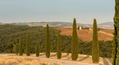 Val d`Orcia La Vitaleta