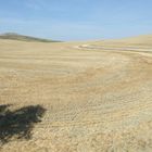 Val d'Orcia. Le colline