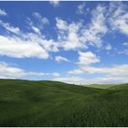 Val d'Orcia - pure Landschaft 2