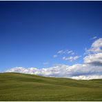 Val d'Orcia - pure Landschaft