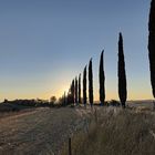 Val d'Orcia. Quasi un tramonto