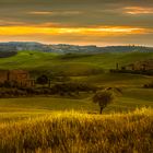 Val d`Orcia sunset