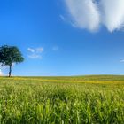 Val d'Orcia - Toscana