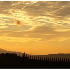 Val d'Orcia - Toscana um 07:30 Uhr