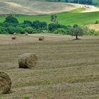 Val d'Orcia  Toskana