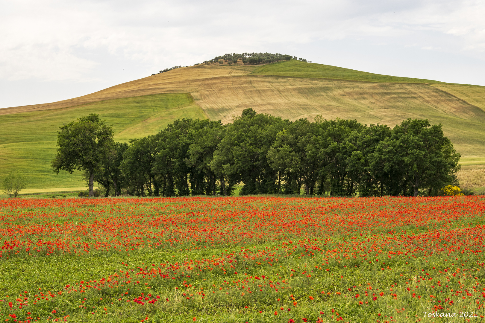 Val d'Orcia Toskana