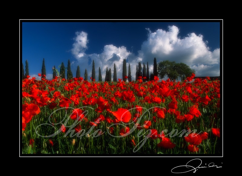 Val d'Orcia - Tuscany 2002