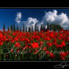 Val d'Orcia - Tuscany 2002