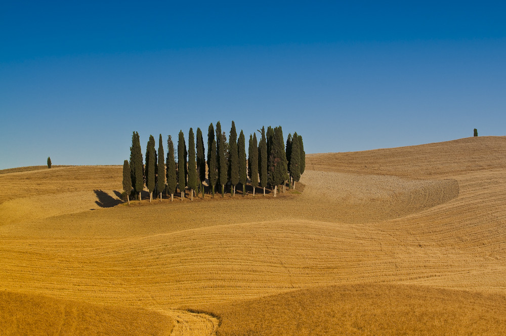 Val D'Orcia - Tuscany