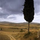 Val d'Orcia V