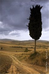 Val d'Orcia V