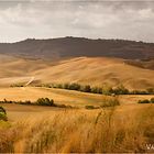 Val d'Orcia VII