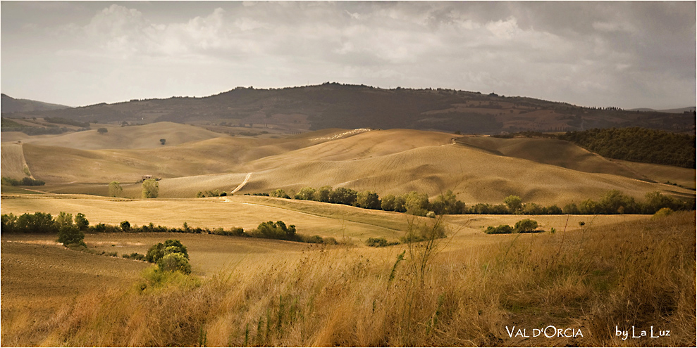 Val d'Orcia VII