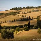 Val d'Orcia VIII