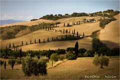 Val d'Orcia VIII