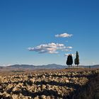 Val d'Orcia/2