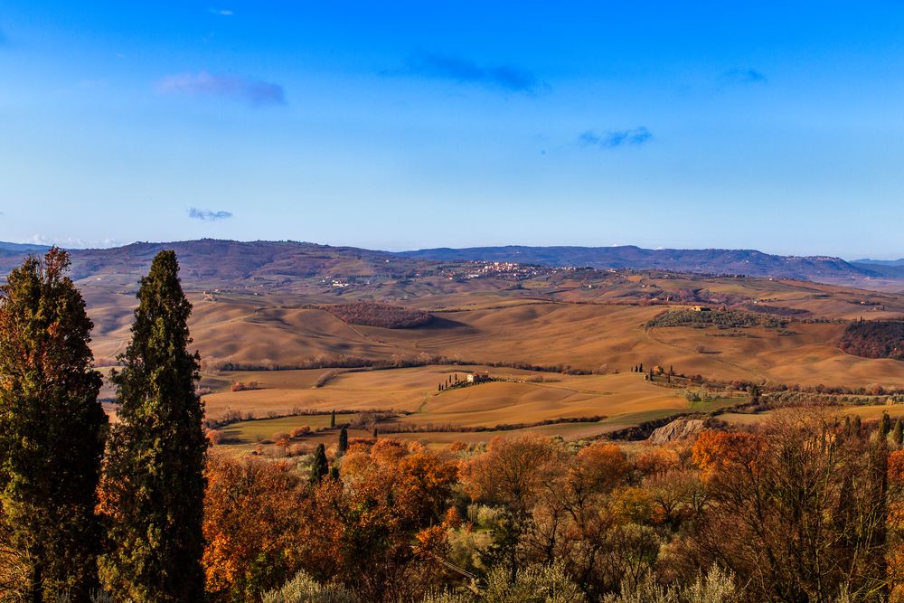 Val d'Orcia...Beautiful day