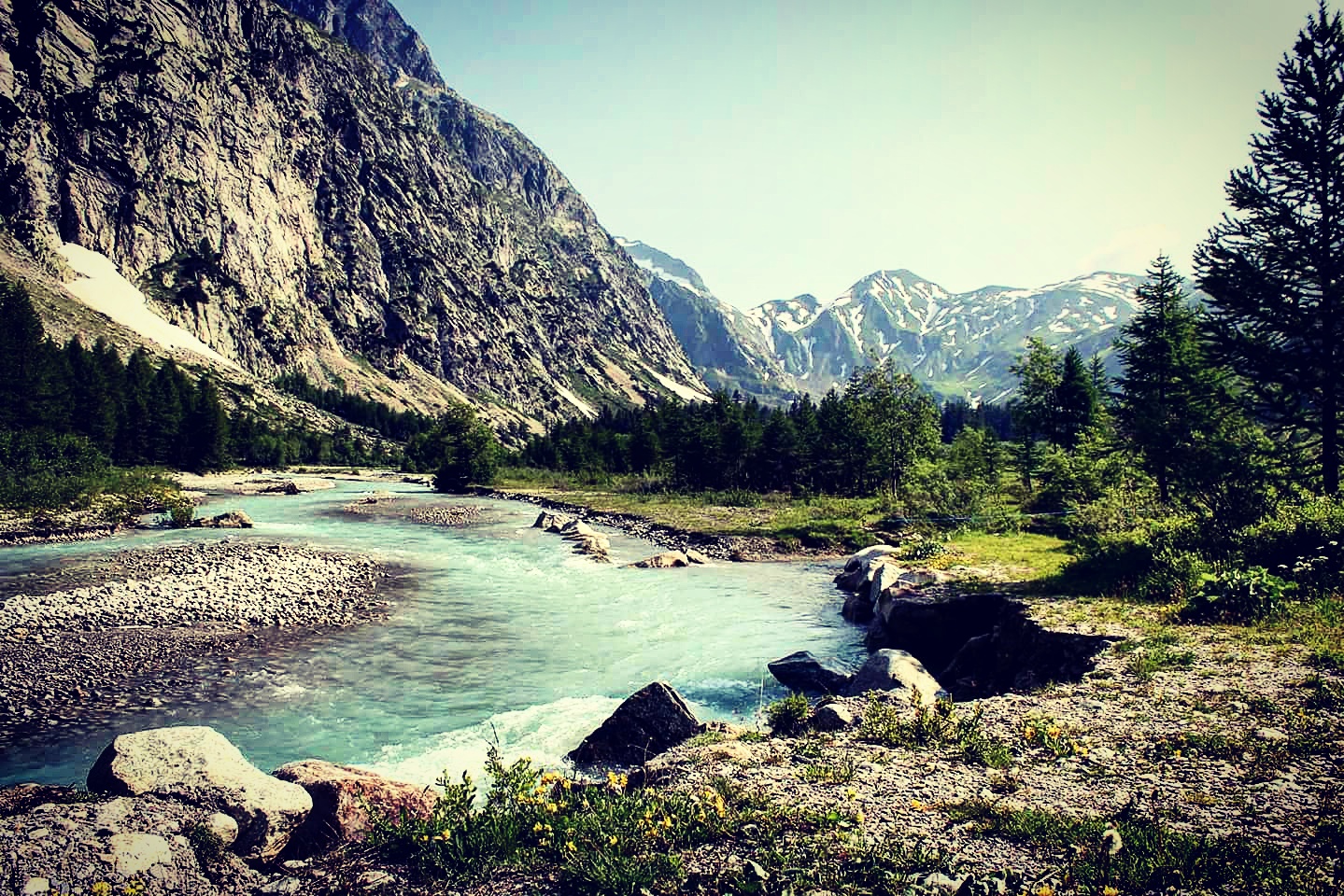 val ferret