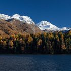 Val Fex und Silsersee