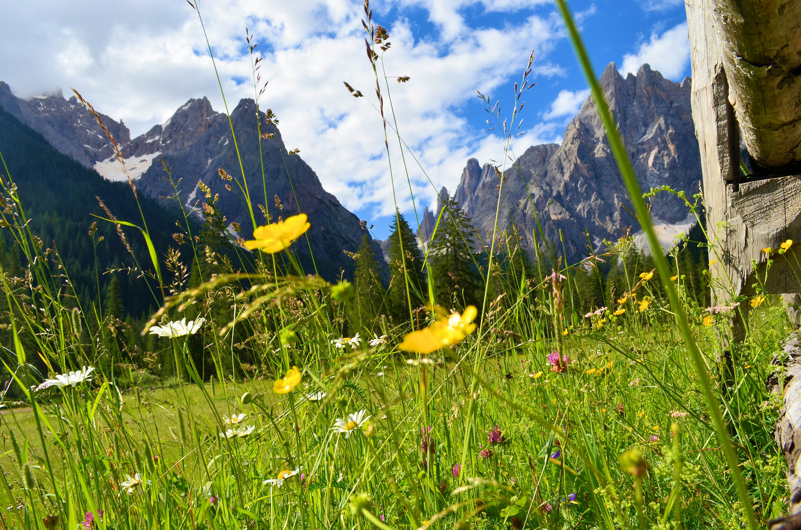 VAL FISCALINA