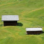 Val Gardena - Bergwiesen