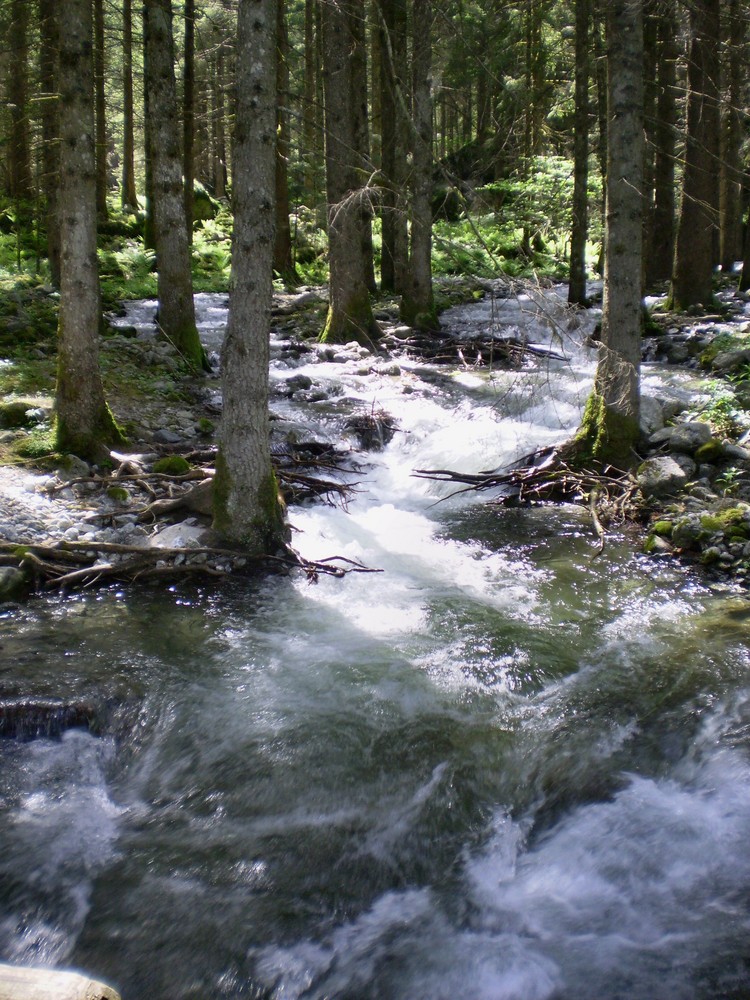 Val Masino, il disgelo...