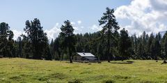 Val Müstair: Alp zwischen Ofenpass und Alp da Munt