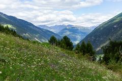 Val Müstair: Blumenwiese - Biodiversität