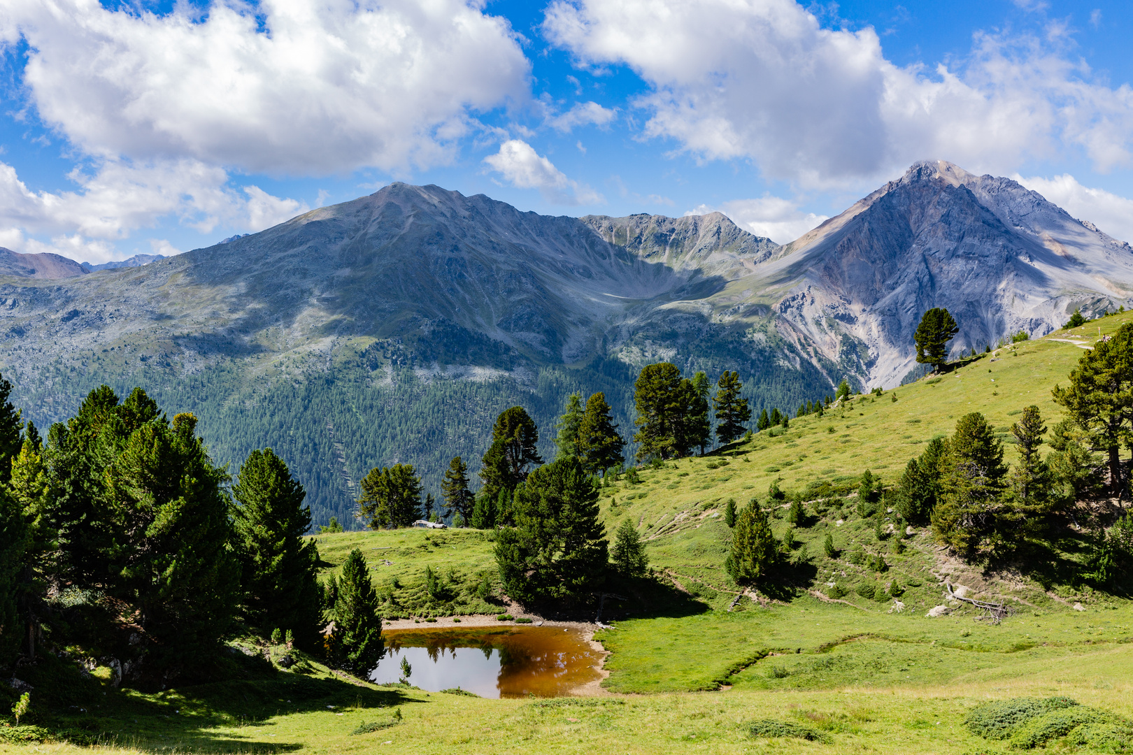 Val Müstair: Seelein zwischen Alp da Munt und Alp Champatsch