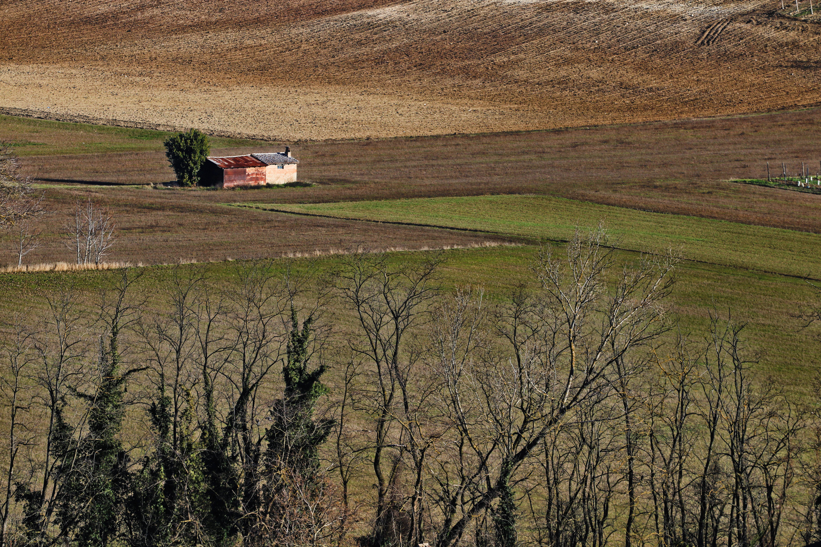 Val Schizzola