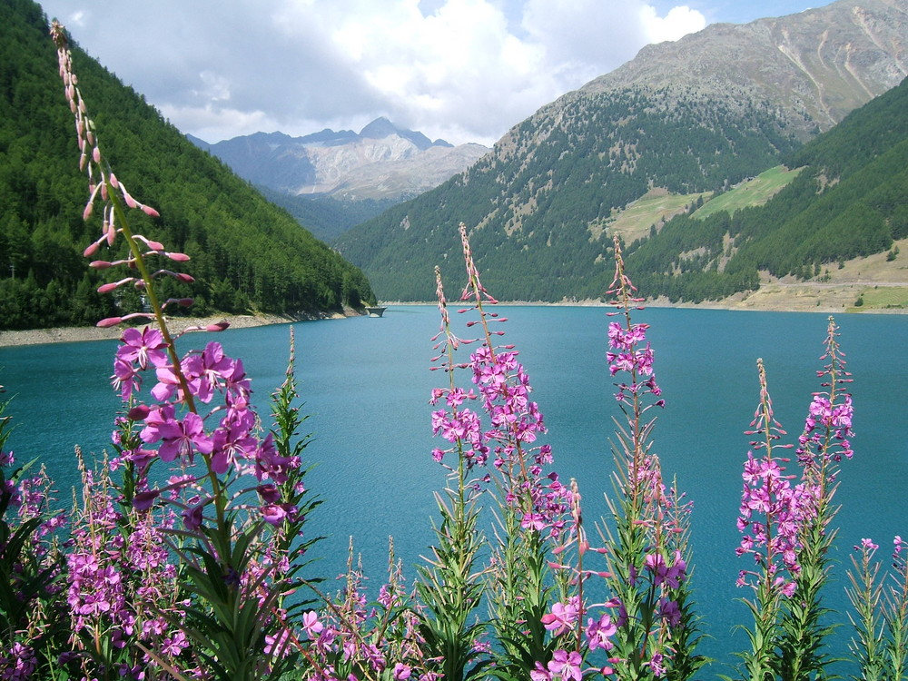 Val Senales