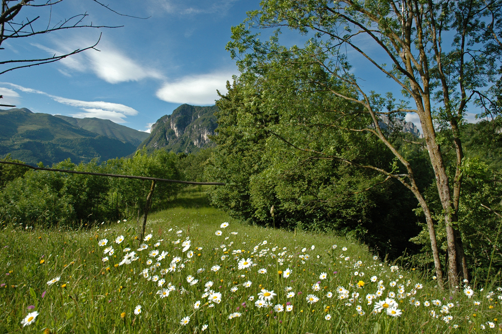 Val Taleggio