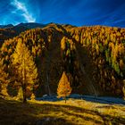 Val Trupchun, Nationalpark, Engadin