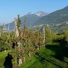 Val Valtellina...05