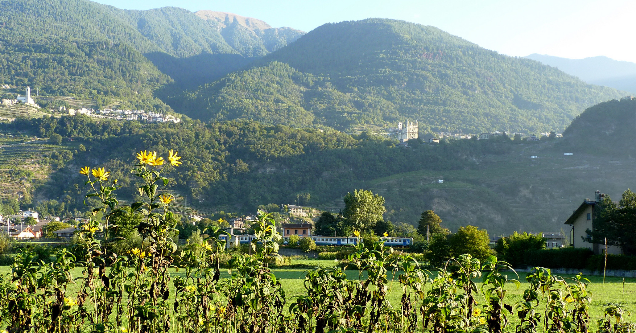 Val Valtellina..09 (Italia)