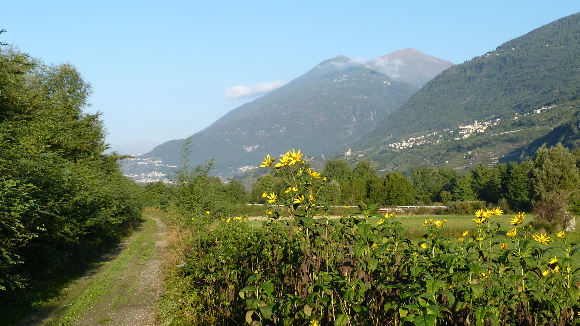 Val Valtellina..14 (Italia)