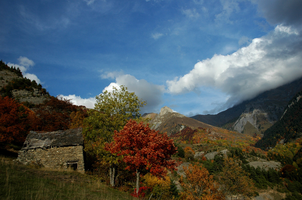 Valbonnais en couleur